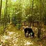 Frieda * Scharbeutz