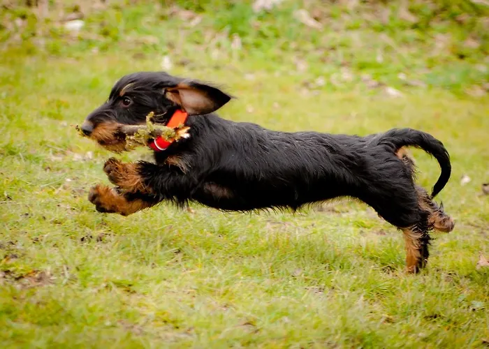 Appartement Frieda Scharbeutz